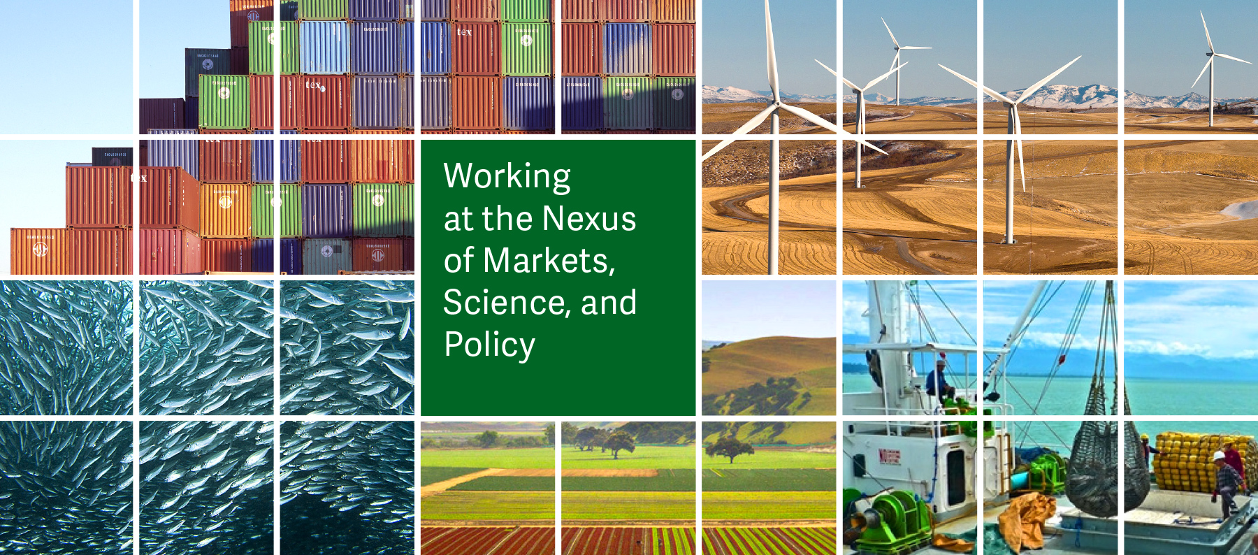 Working at the Nexus of Markets, Science, and Policy banner